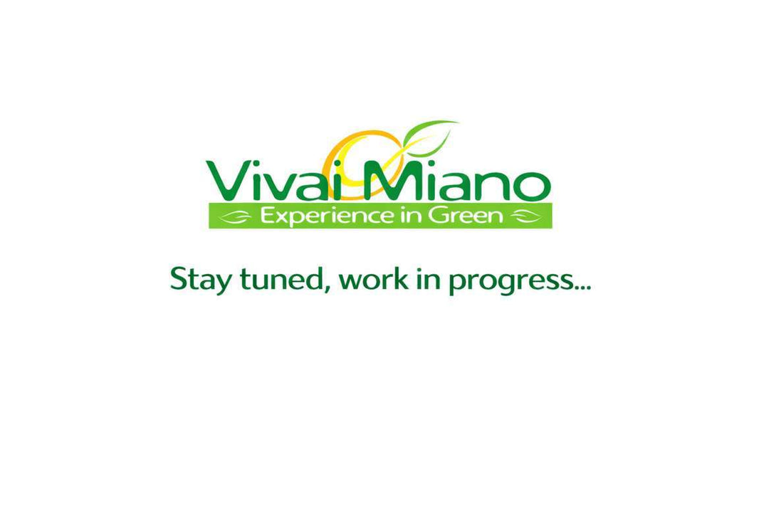 Pianta di Arancio (vaso - 35)